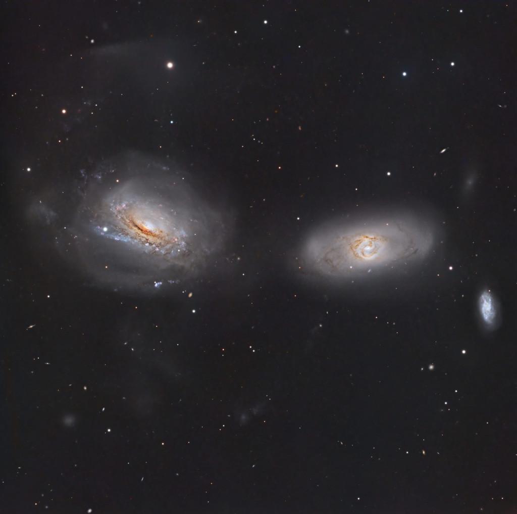 Unraveling NGC 3169