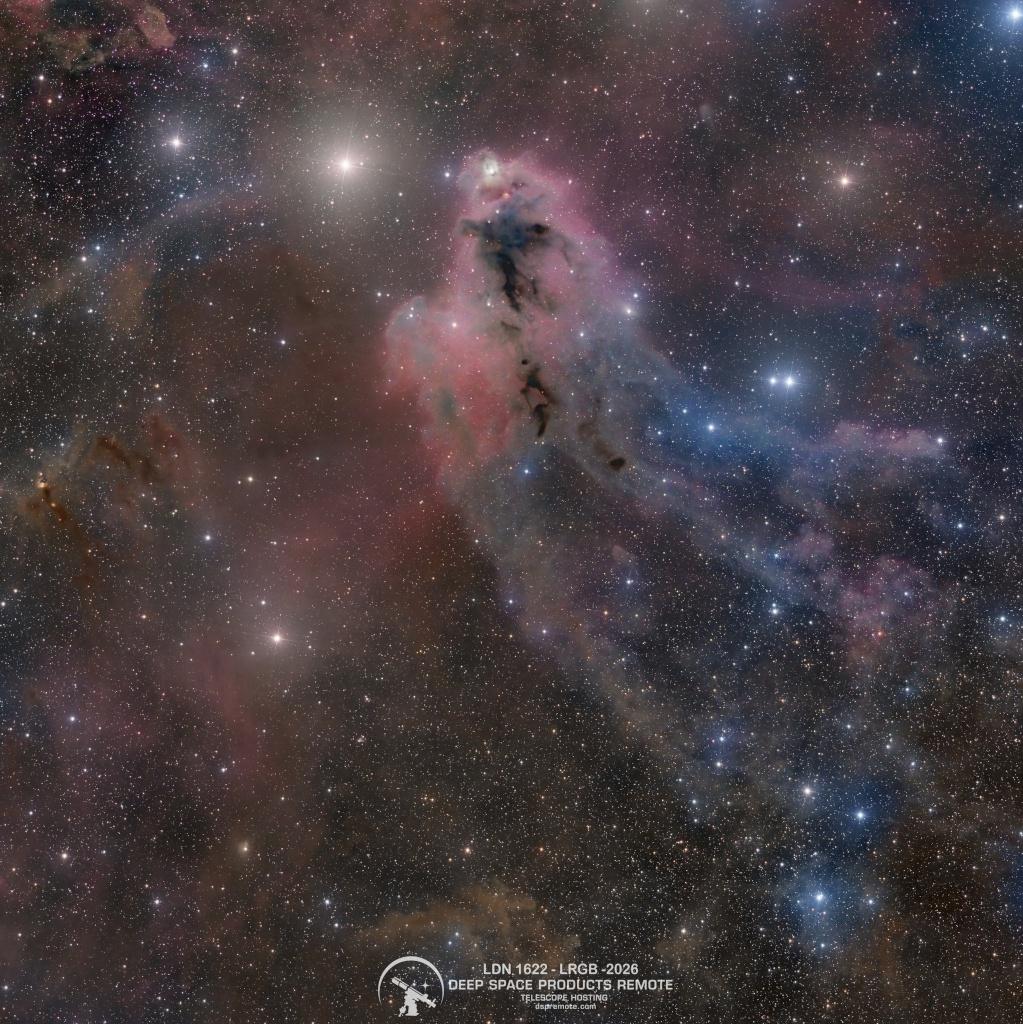 LDN 1622: Dark Nebula in Orion